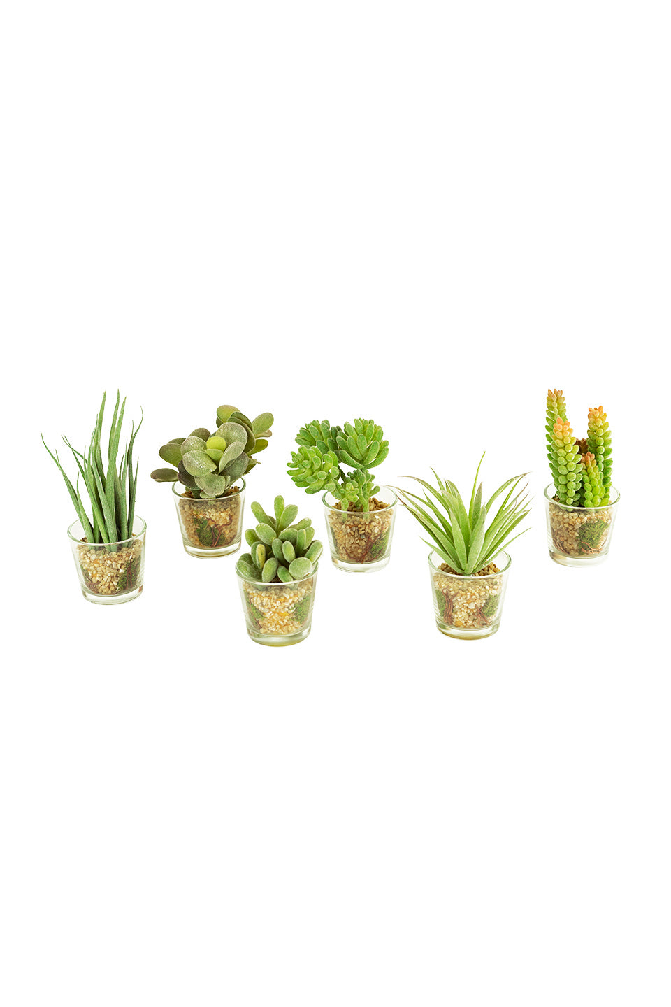 Kalalou Lighting CYF1019  Set Of 6 Artificial Succulents In Glass Containers Home Decor Bronze / Dark