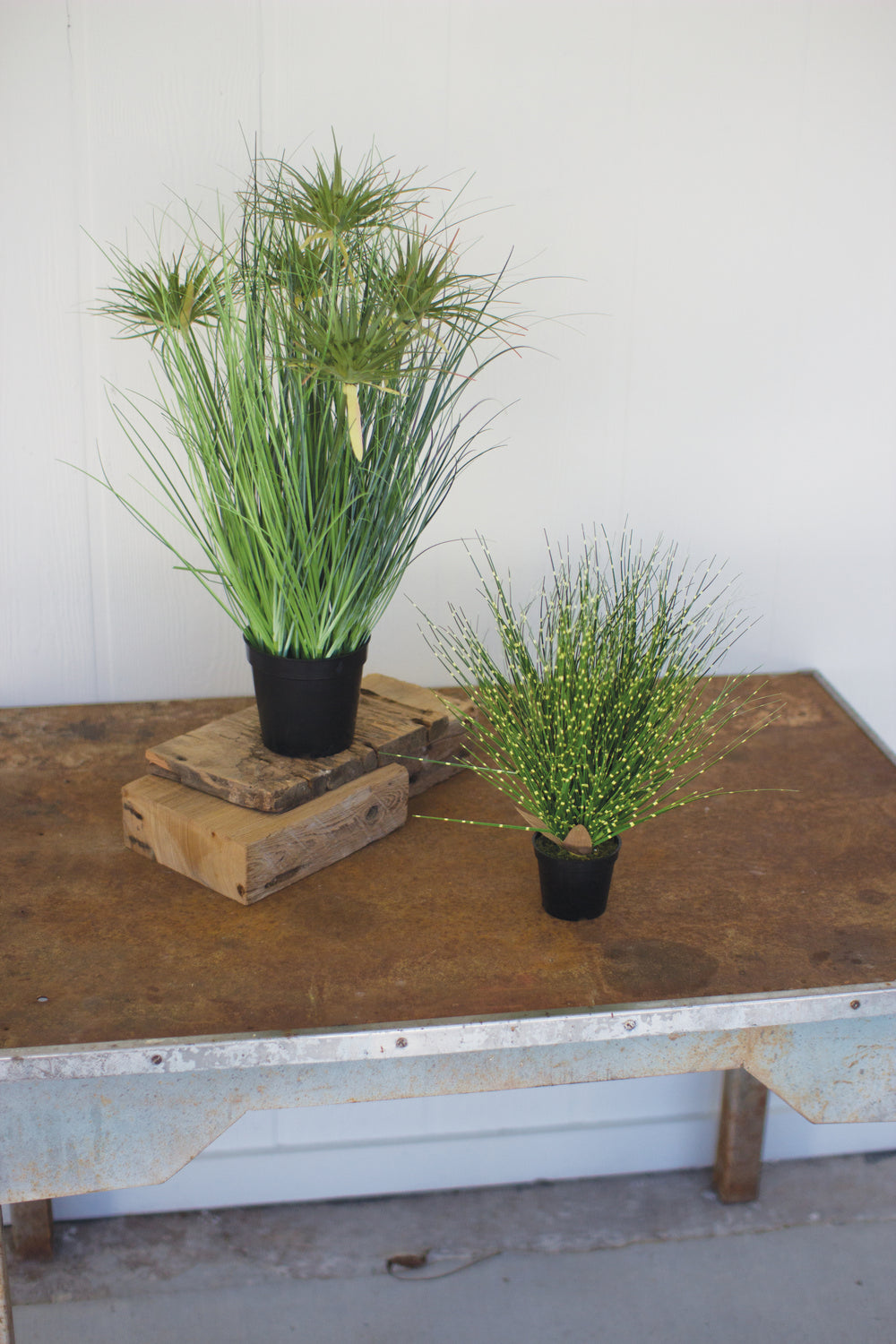 Kalalou Lighting CYF1191  Cyprus Grass In A Plastic Pot Home Decor Bronze / Dark