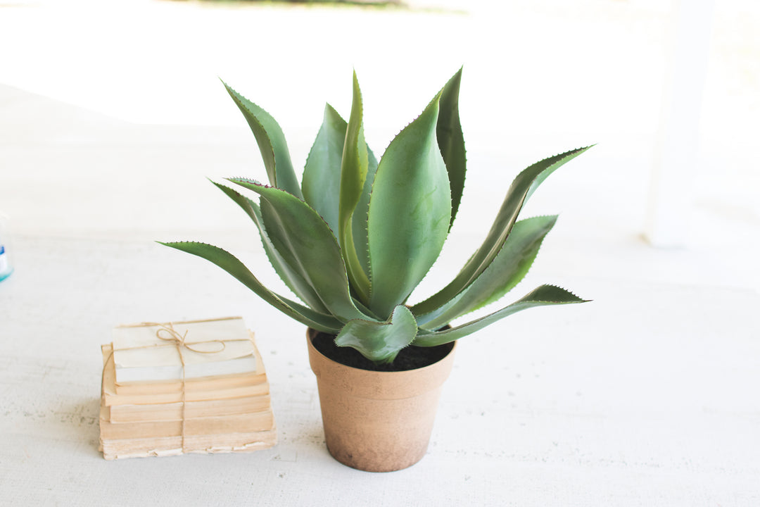 Kalalou Lighting CYF1225  Artificial Agave In A Painted Plastic Pot Home Decor Bronze / Dark
