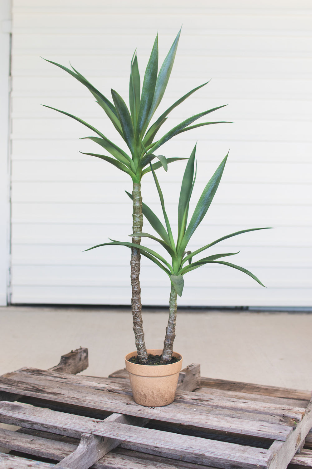 Kalalou Lighting CYF1228  Artificial Heneken Plant With Painted Plastic Pot Home Decor Bronze / Dark