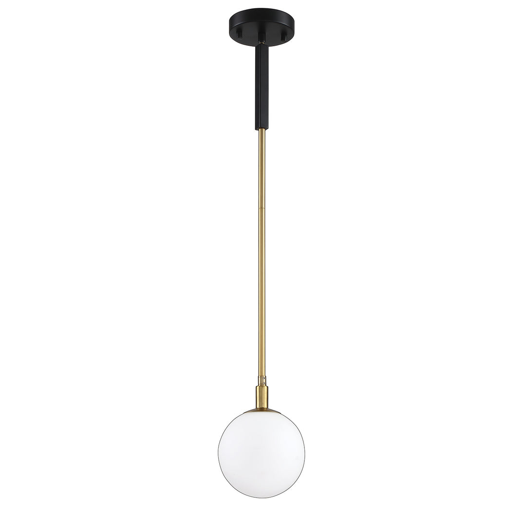 Kendal Ambience PF100-1L-BLK/BRS Pendant Light - Black & Brass