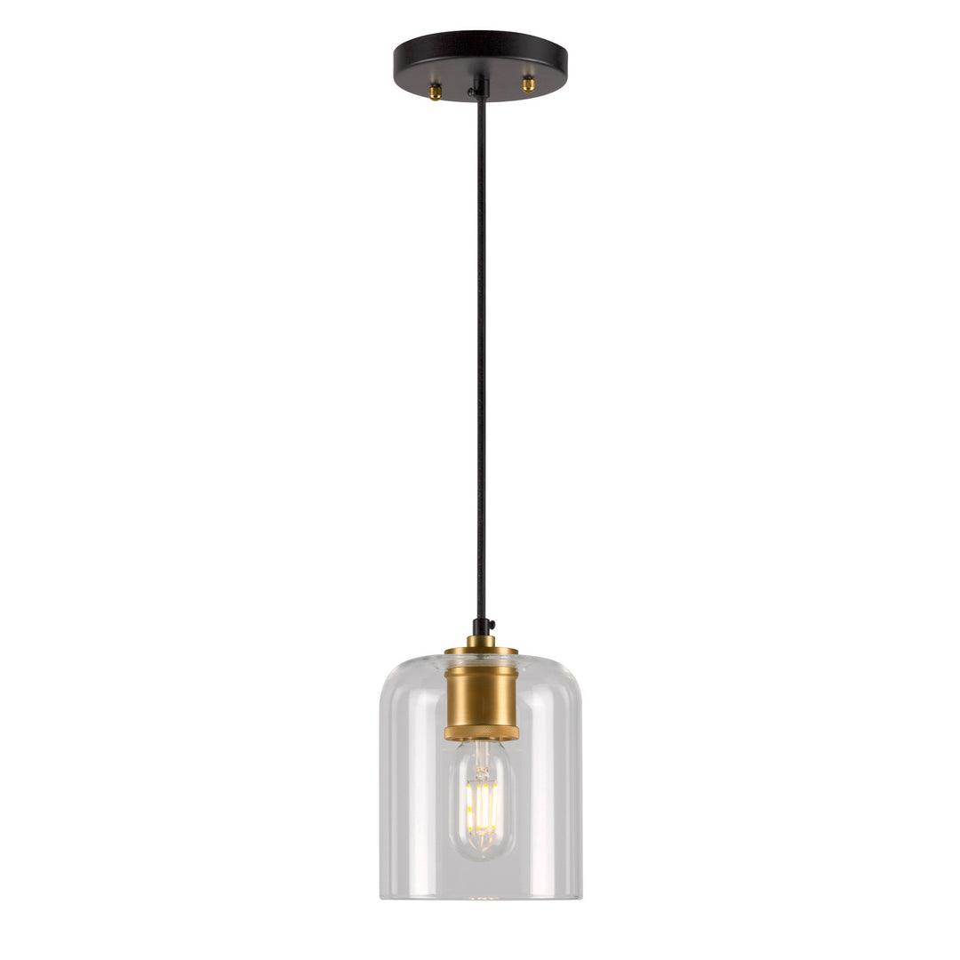 Forte Tyrone 2724-01-62 Pendant Light - Black and Soft Gold