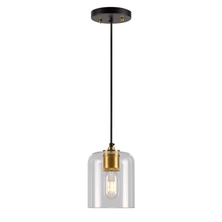 Forte Tyrone 2724-01-62 Pendant Light - Black and Soft Gold