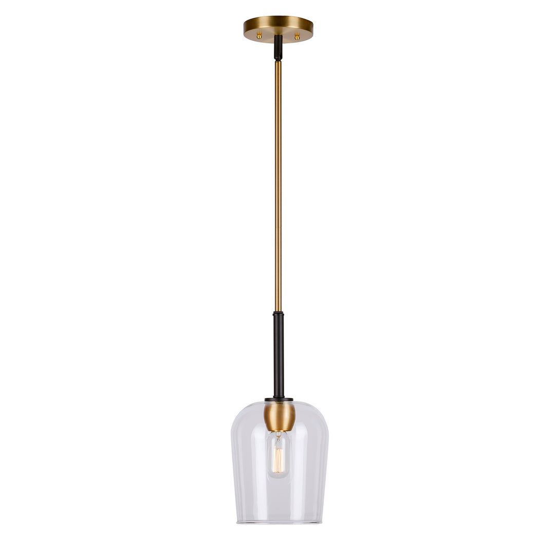 Forte Palmer 2726-01-62 Pendant Light - Black and Soft Gold