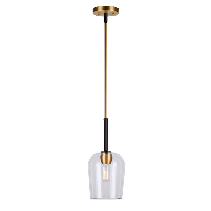 Forte Palmer 2726-01-62 Pendant Light - Black and Soft Gold