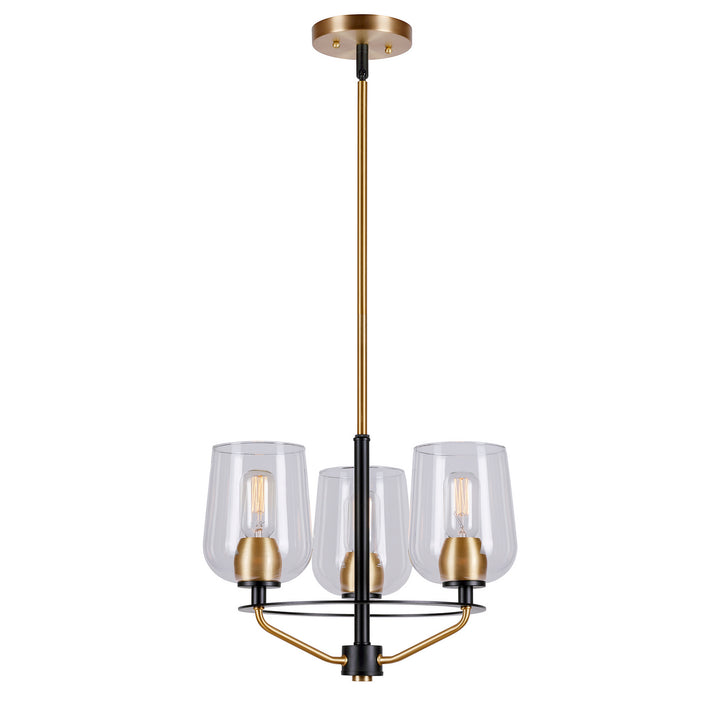 Forte Palmer 2726-03-62 Chandelier Light - Black and Soft Gold