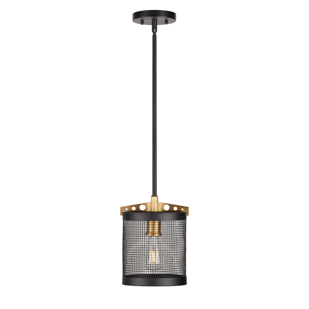 Forte Takoma 7119-01-62 Pendant Light - Black and Soft Gold