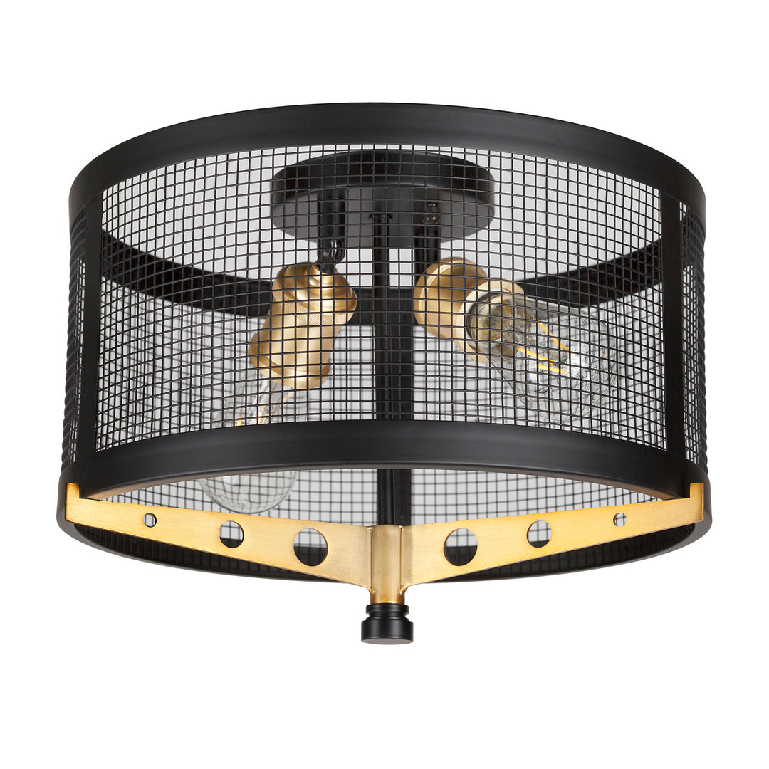 Forte Takoma 7119-02-62 Ceiling Light - Black and Soft Gold