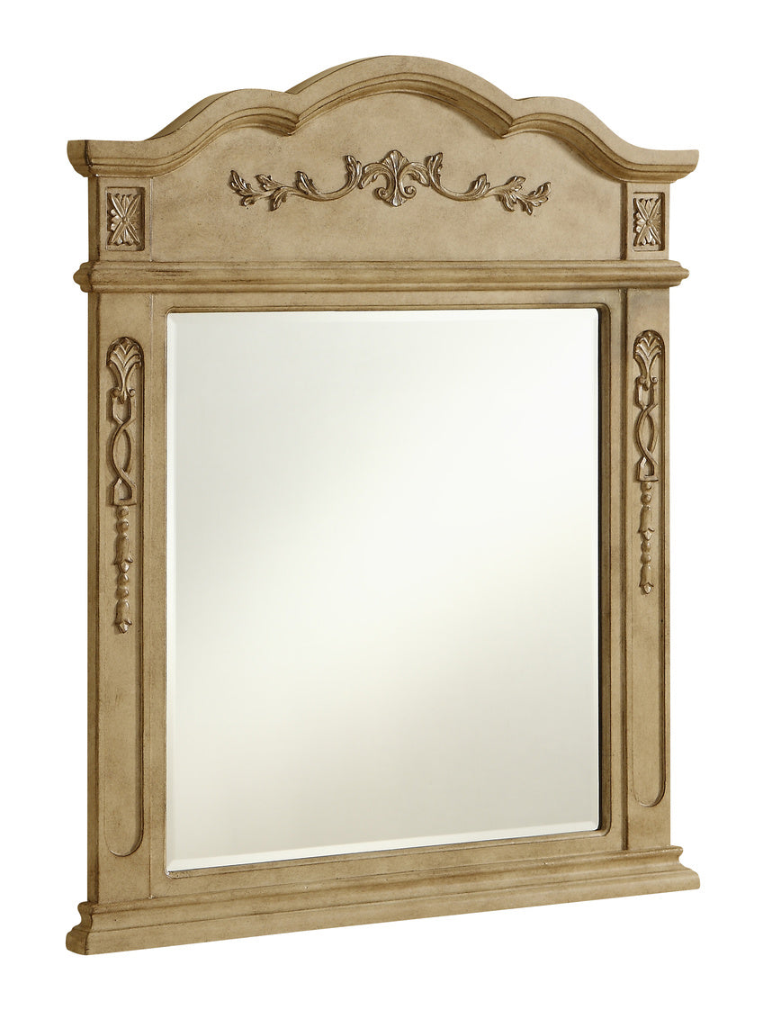 Elegant Lighting VM3001AB  Danville Mirror Antique Beige