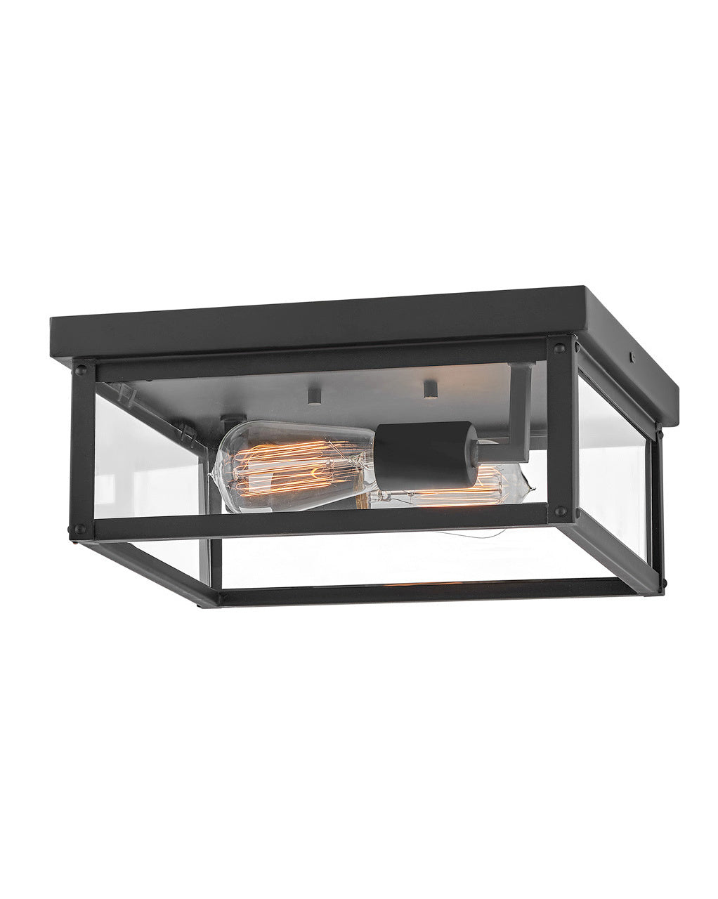 Hinkley Beckham 12193BK Ceiling Light - Black