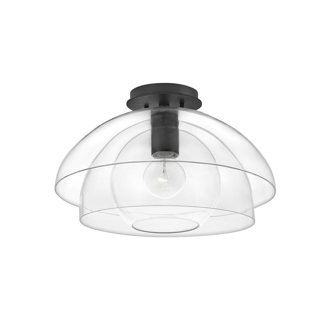 Hinkley Lotus 39061BLK Ceiling Light - Black