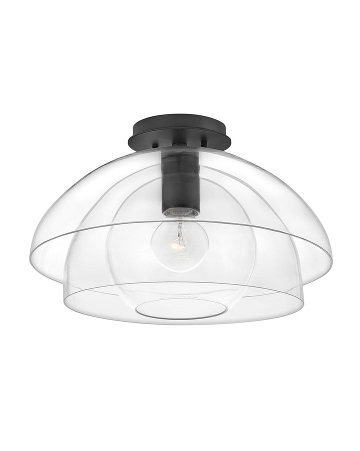 Hinkley Lotus 39061BLK Ceiling Light - Black