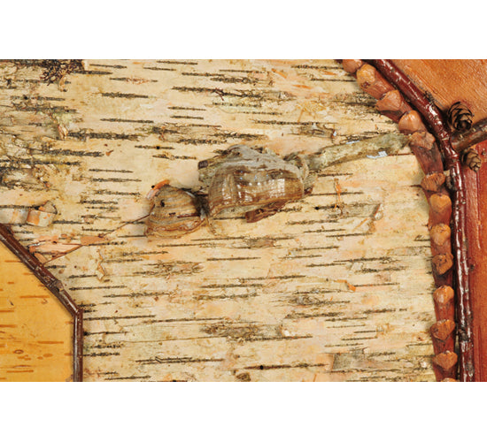 Meyda Tiffany Lighting 111466 Birchwood Ceiling Medallion Decor Bronze / Dark