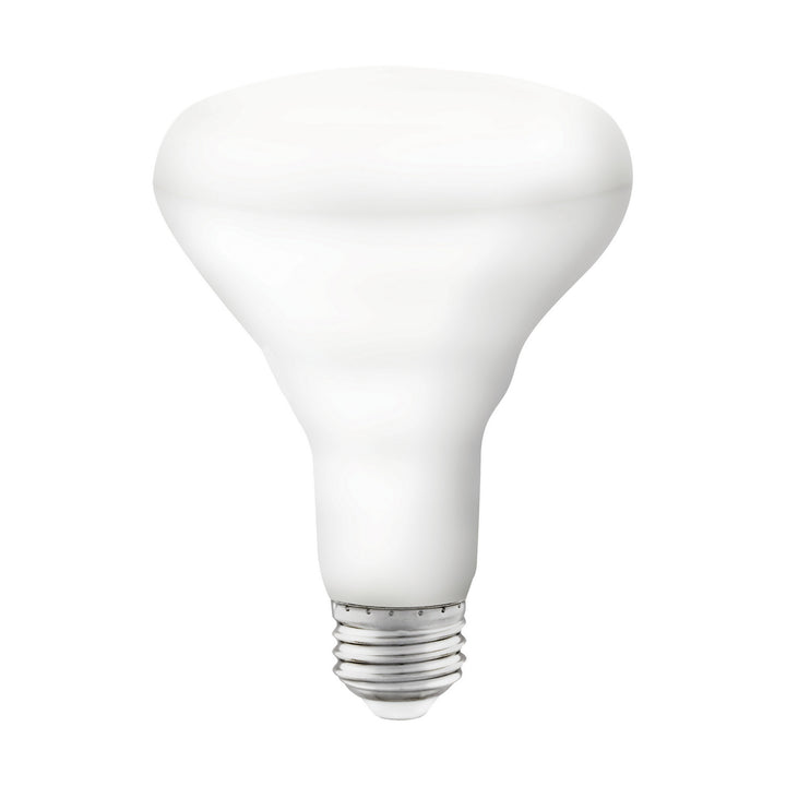 Satco Lighting S11255   Light Bulb White