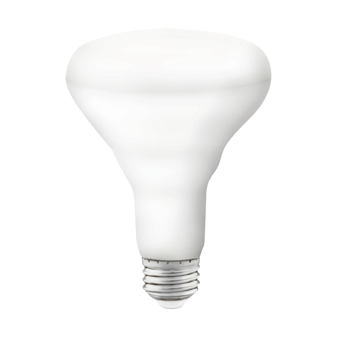 Satco Lighting S11257   Light Bulb White