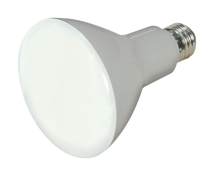 Satco Lighting S11333   Light Bulb Gray