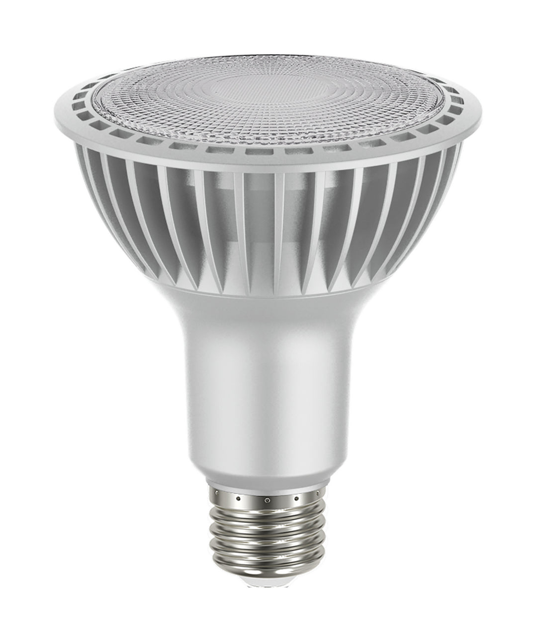 Satco Lighting S22240   Light Bulb Silver