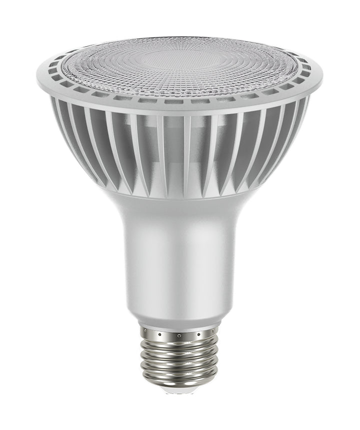 Satco Lighting S22240   Light Bulb Silver