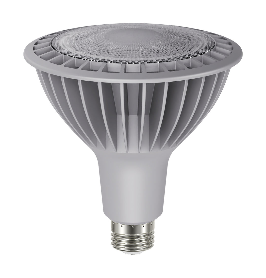 Satco Lighting S22250   Light Bulb Silver