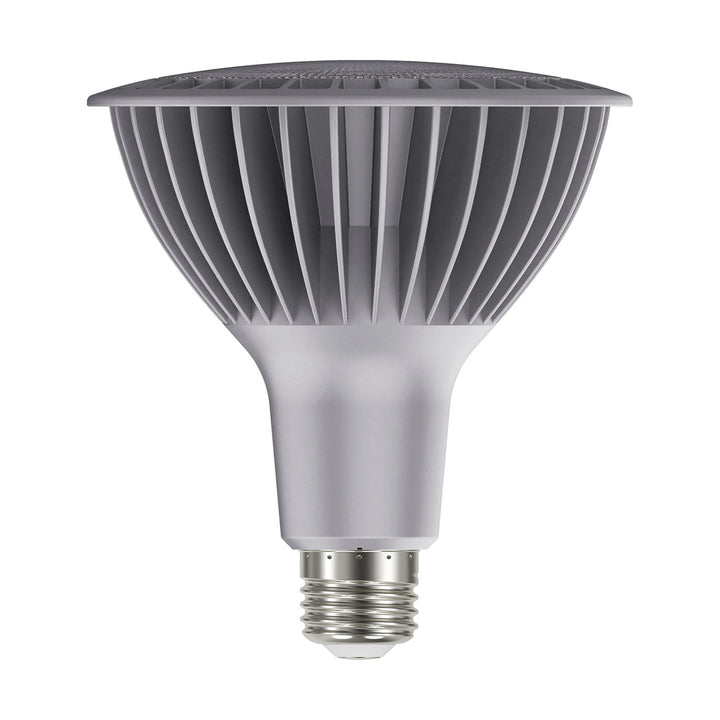 Satco Lighting S29761   Light Bulb Silver