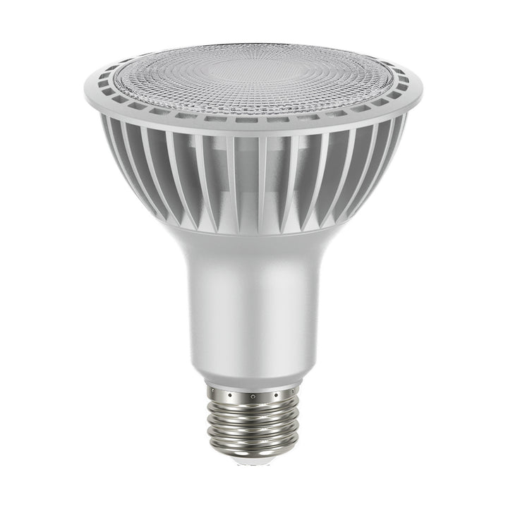 Satco Lighting S29765   Light Bulb Silver