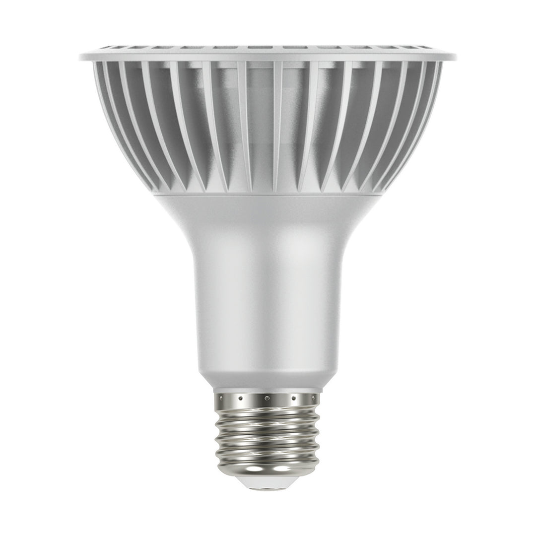 Satco Lighting S29765   Light Bulb Silver