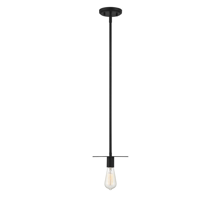 Meridian M70113MBK Pendant Light - Matte Black