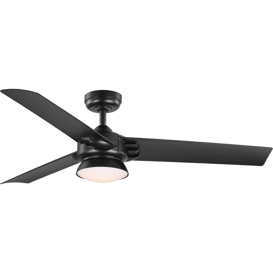 Progress Edwidge P250062-031-30 Ceiling Fan - Black, Black/