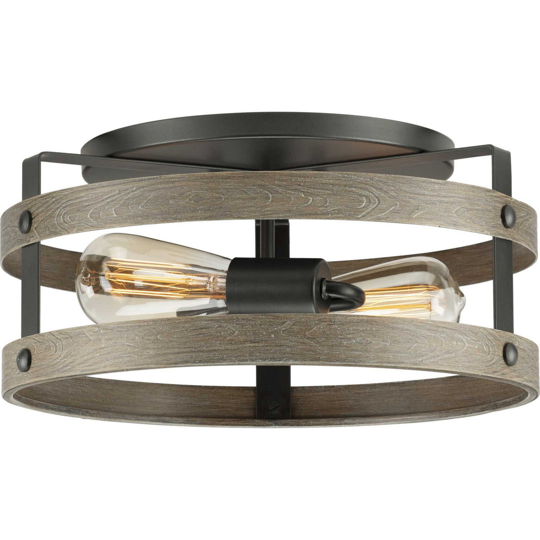 Progress Gulliver P350169-143 Ceiling Light - Graphite