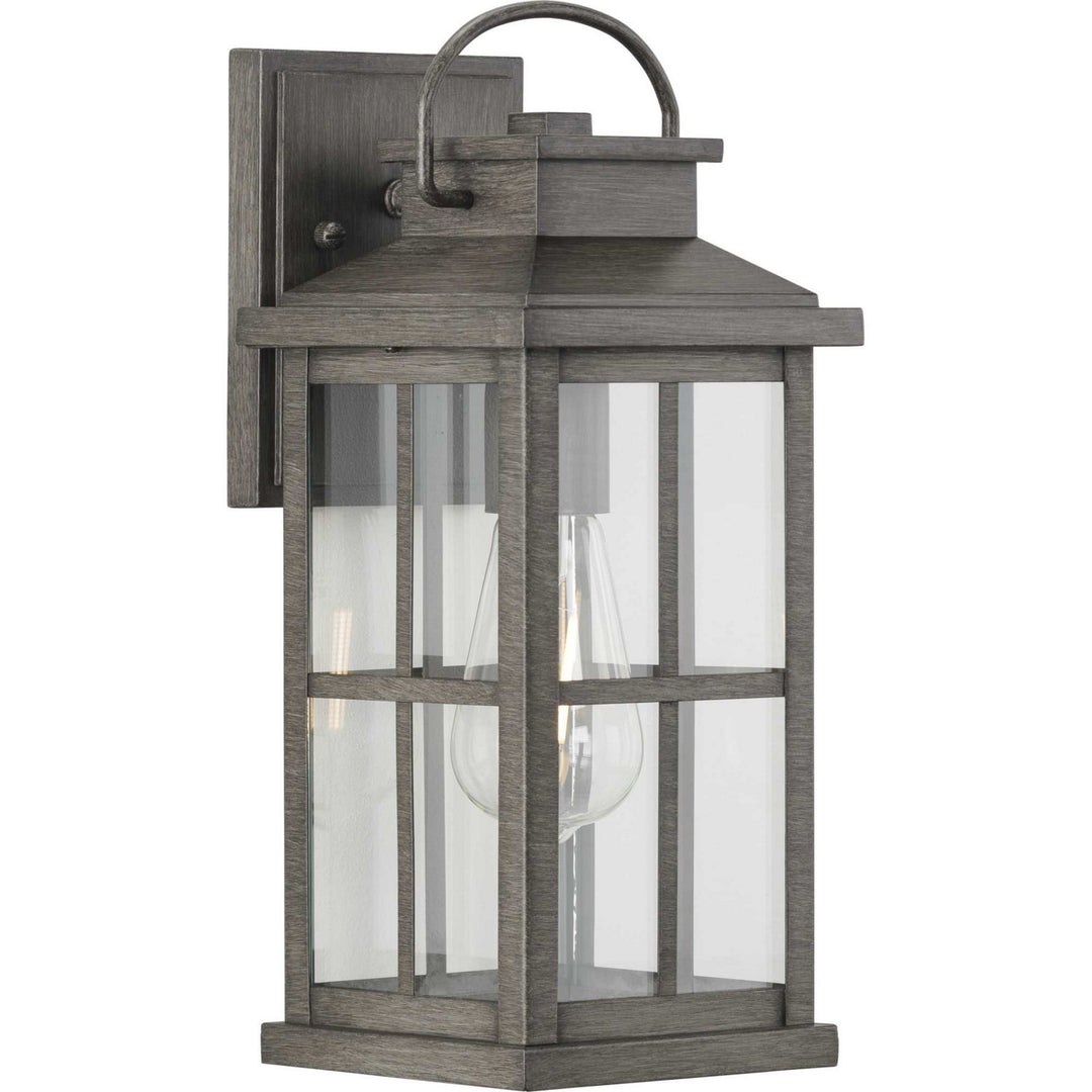 Progress Lighting P560265-103 Williamston One Light Wall Lantern Outdoor Pewter, Nickel, Silver