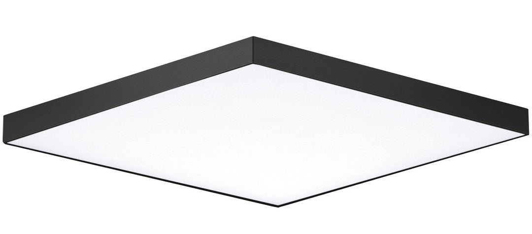 Maxim Lighting 57675WTBK  Trim Utility Light Black