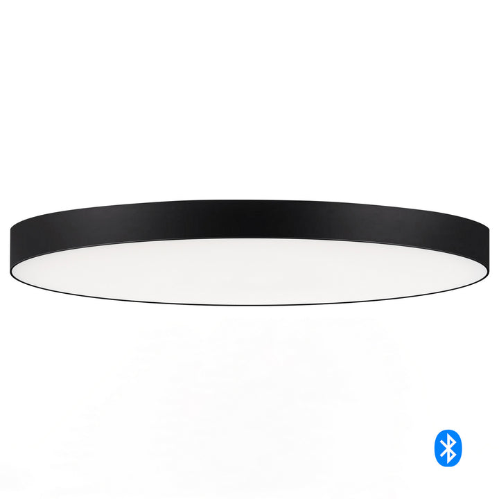 Maxim Tuner 67662WTBK Ceiling Light - Black