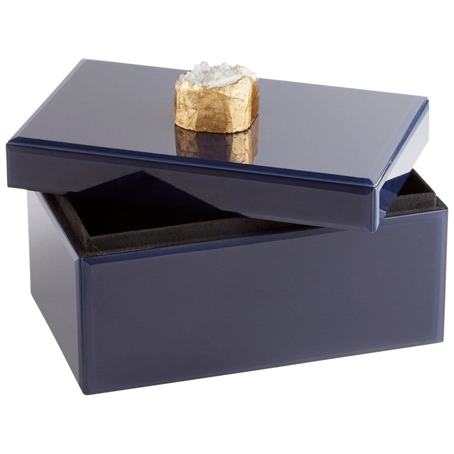 Cyan 10747 Containers & Trays - Black