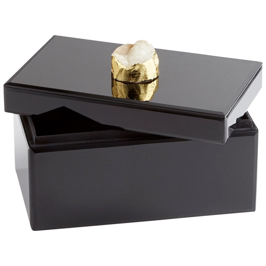 Cyan 10749 Containers & Trays - Black