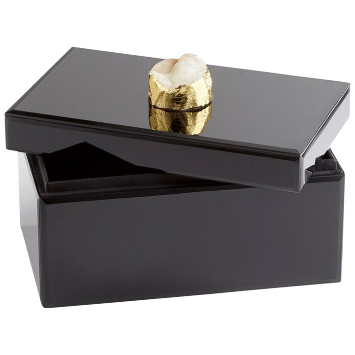 Cyan 10749 Containers & Trays - Black