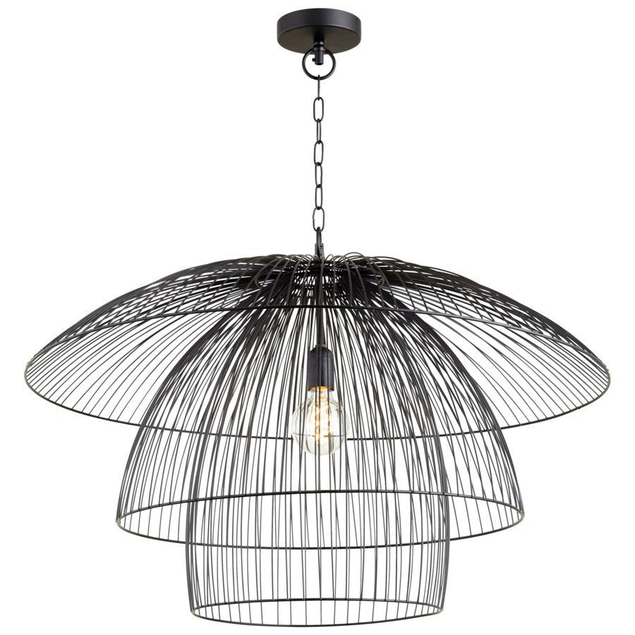 Cyan Design  10796 Pendant Light - Matte Black