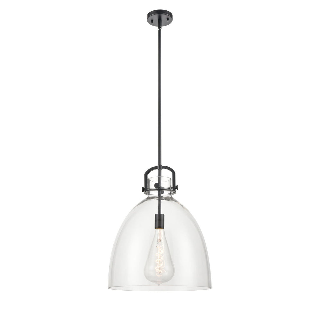 Innovations Newton 412-1S-BK-16CL Pendant Light - Matte Black