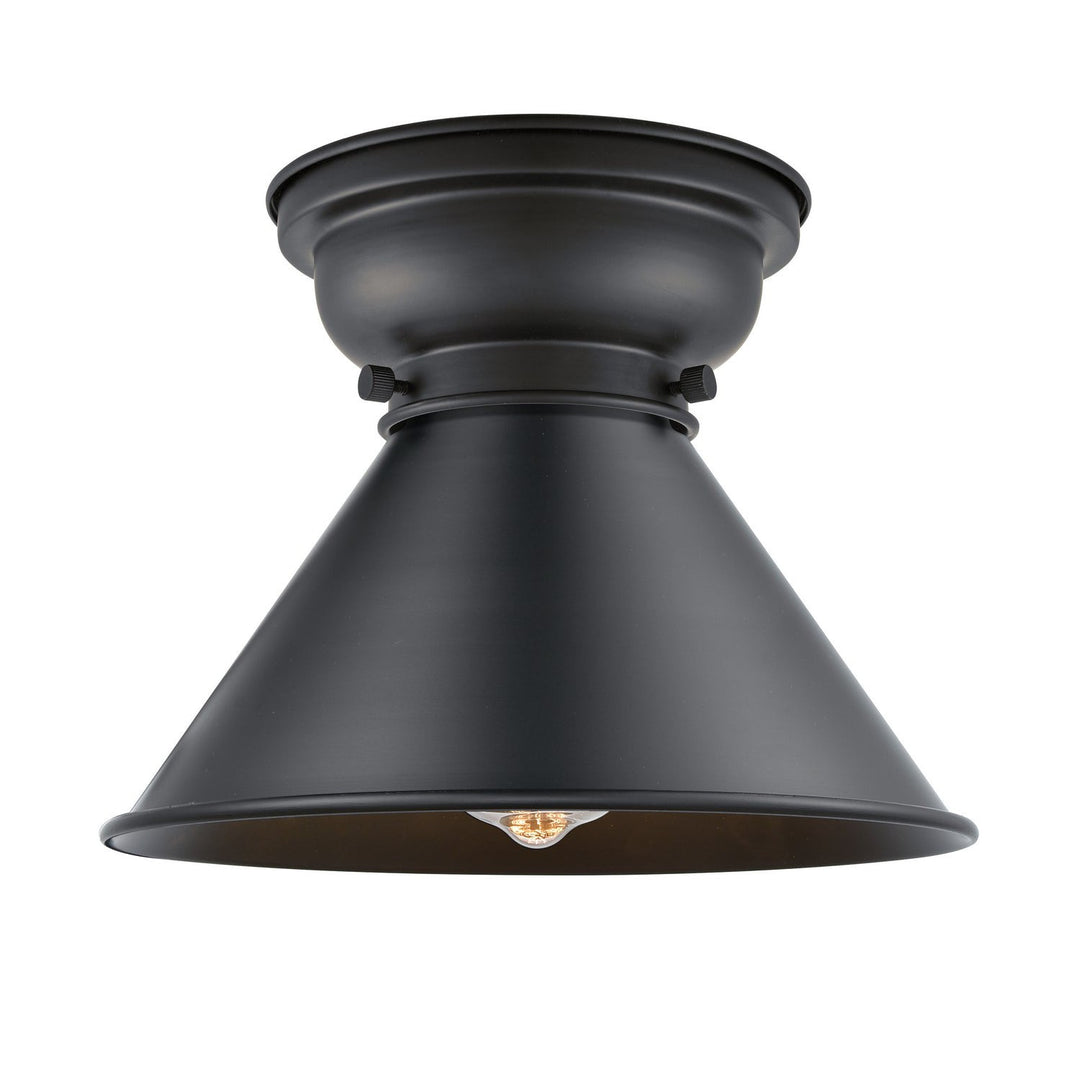 Innovations Aditi 623-1F-BK-M10-BK Ceiling Light - Matte Black