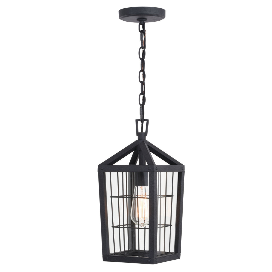 Vaxcel Lighting T0590 Gage One Light Outdoor Pendant Outdoor Black