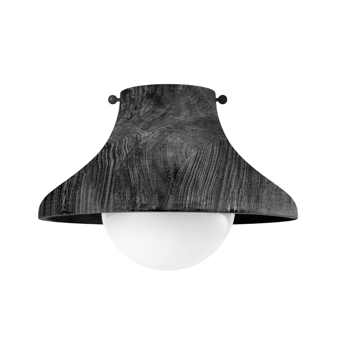 Regina Andrew Surfside 16-1347EB Ceiling Light - Ebony