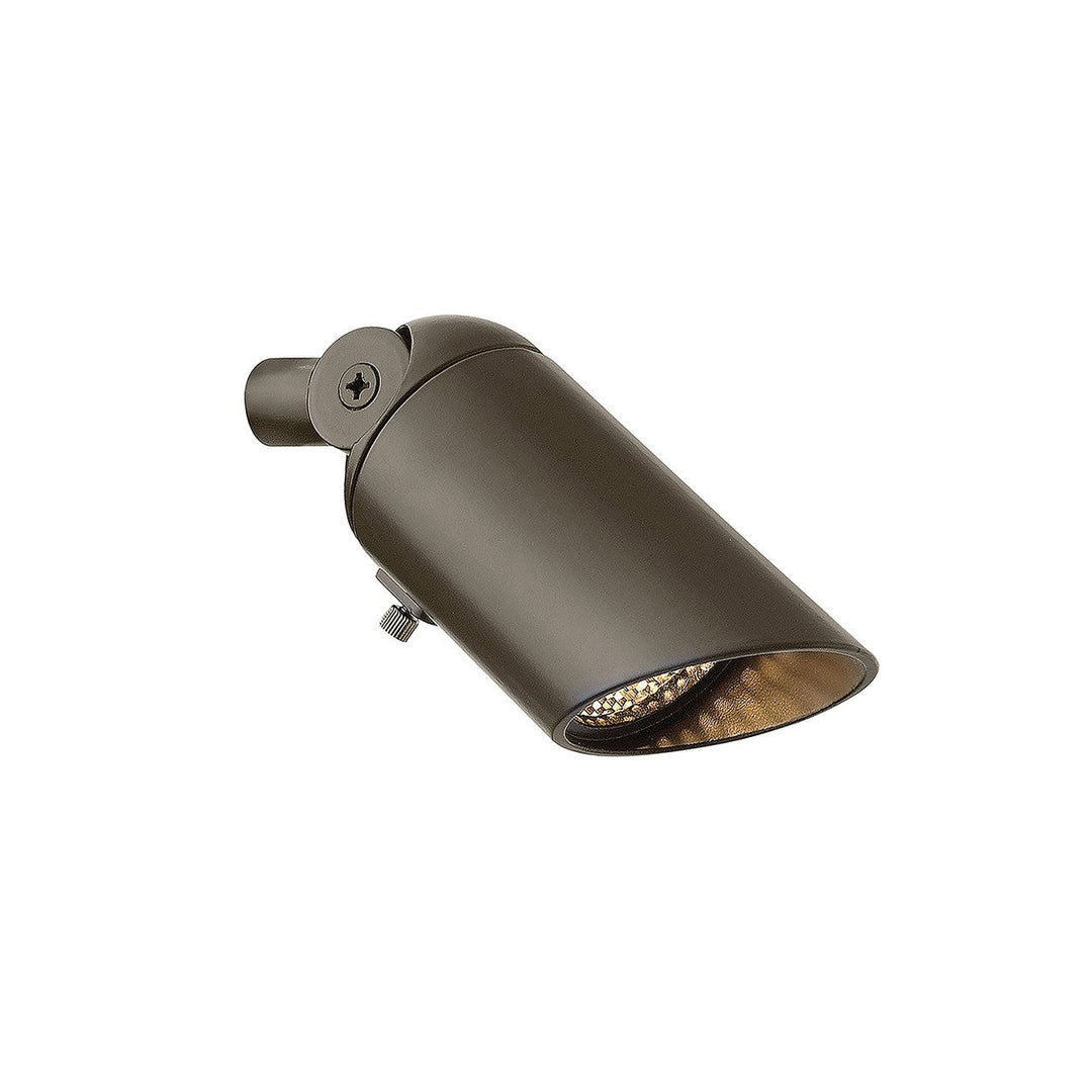 Hinkley Lighting 1536BZDN Modern Spot Light Landscape Light Bronze