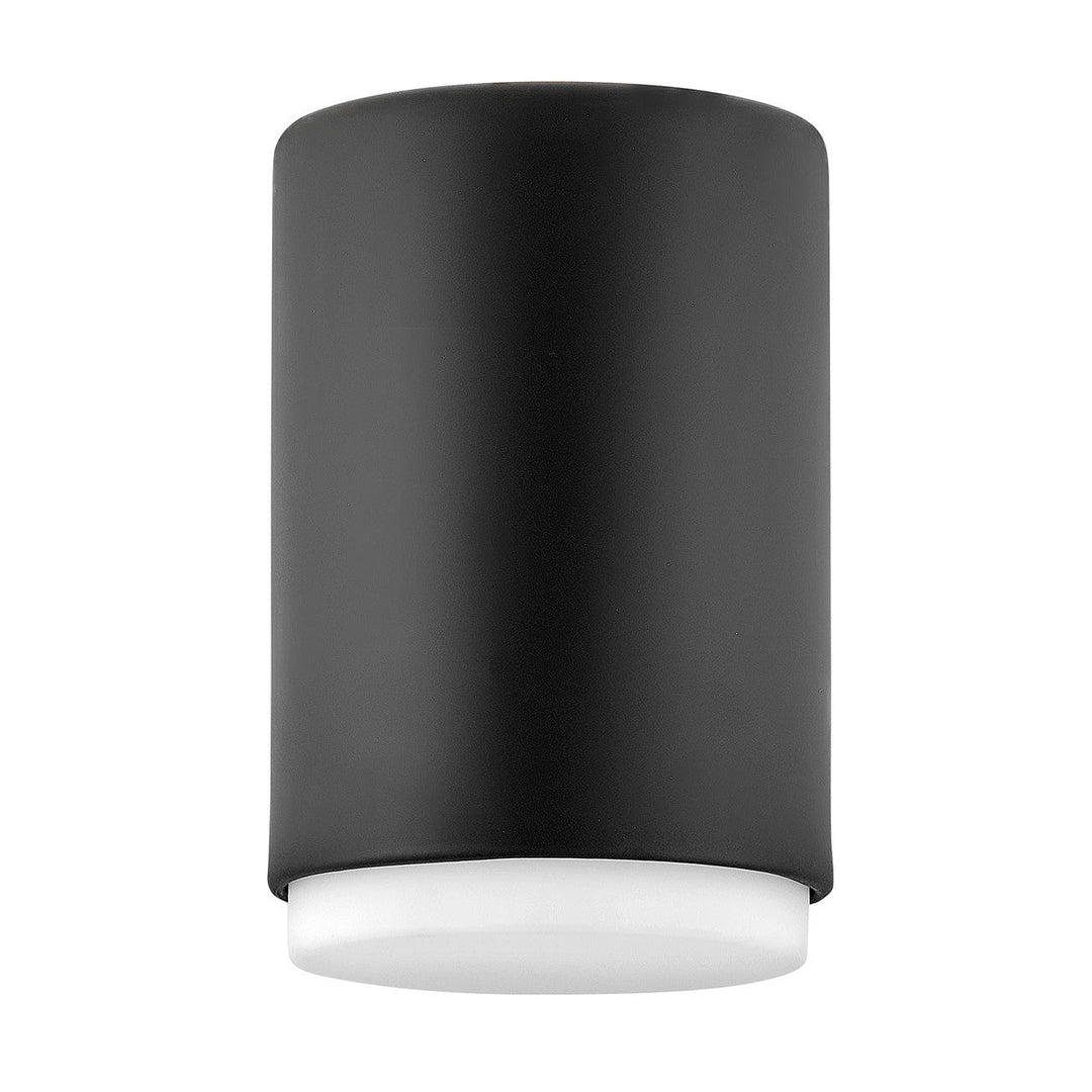 Hinkley Cedric 30071BK Ceiling Light - Black