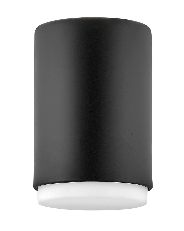Hinkley Cedric 30071BK Ceiling Light - Black
