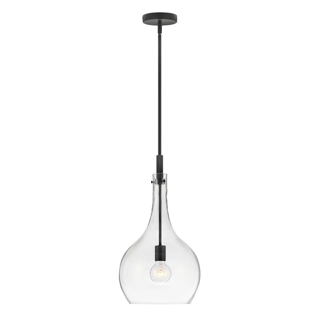 Hinkley Ziggy 4457BK-CL Pendant Light - Black with Clear glass