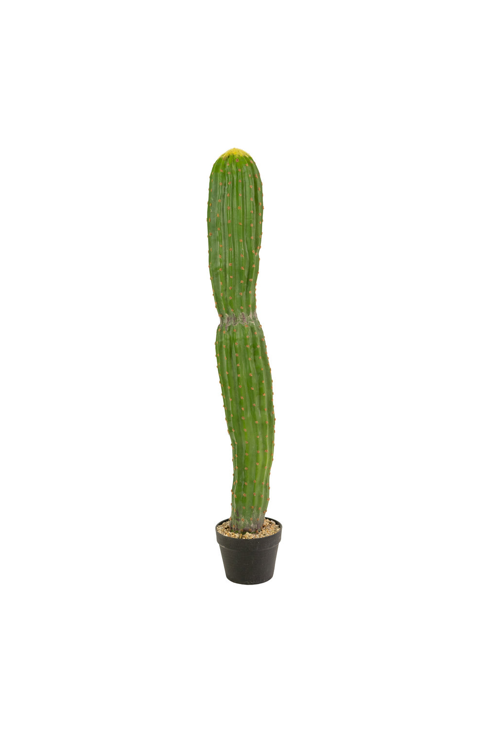 Kalalou Lighting CNL1318  Single Trunk Cactus In A Plastic Pot Home Decor Bronze / Dark