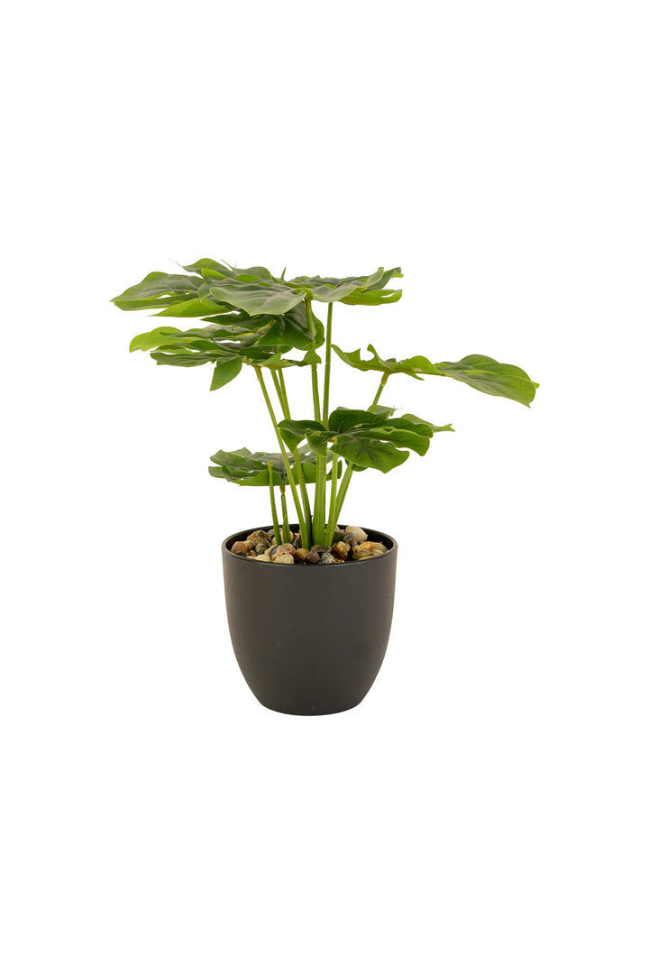 Kalalou Lighting CNL1330  Monstera Plant In A Plastic Pot Home Decor Bronze / Dark