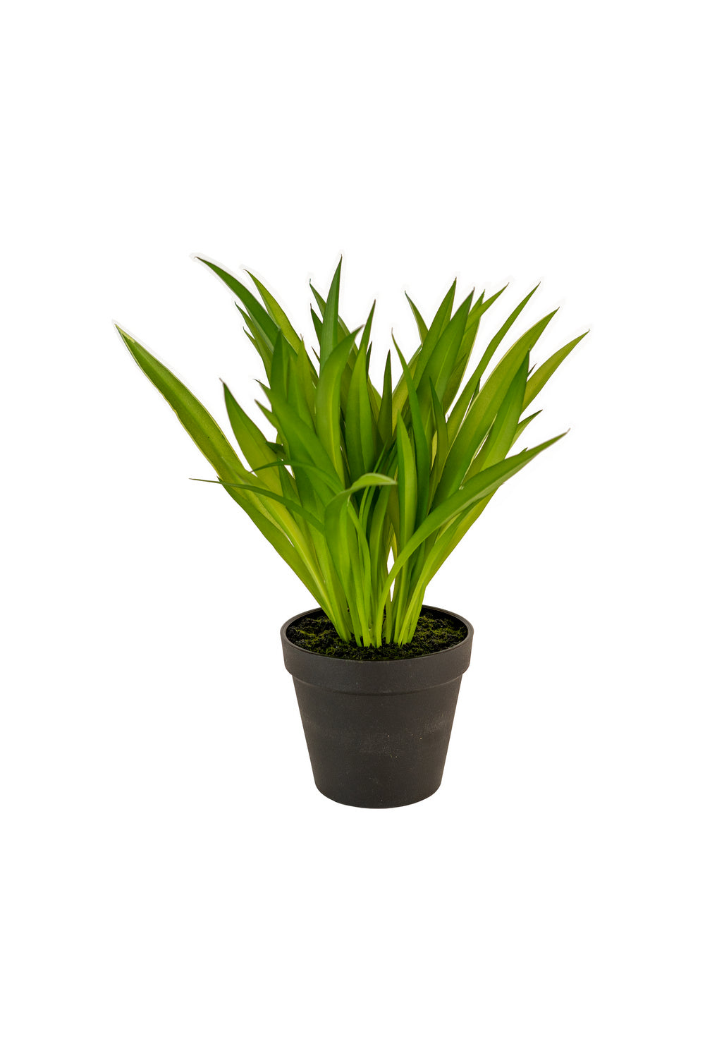 Kalalou Lighting CYF1266  Artificial Potted Green Grass Home Decor Bronze / Dark