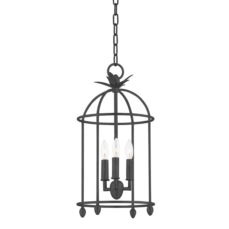 Troy Brooks F5712-BI Pendant Light - Black Iron