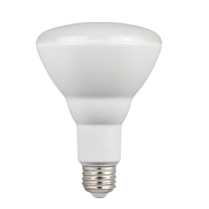 Westinghouse Lighting 4514800   Light Bulb Frost