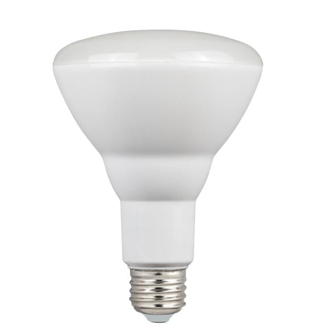 Westinghouse Lighting 5008100   Light Bulb Frost